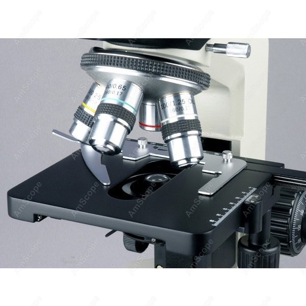 AmScope Biological Binocular C - đánh giá và giá Microscope Compound 40X