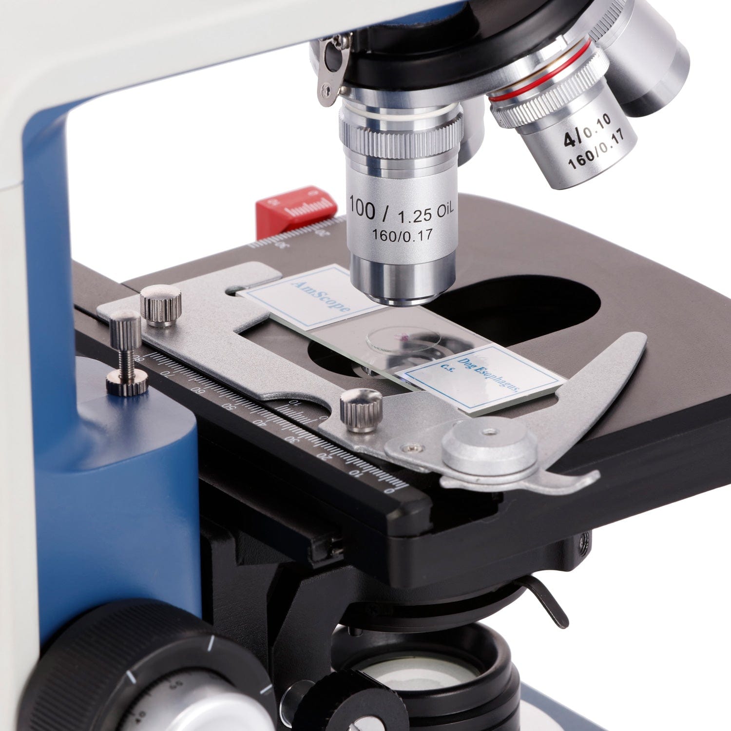AmScope 40X-2500X Student Bino - đánh giá và giá Microscope Compound 40X