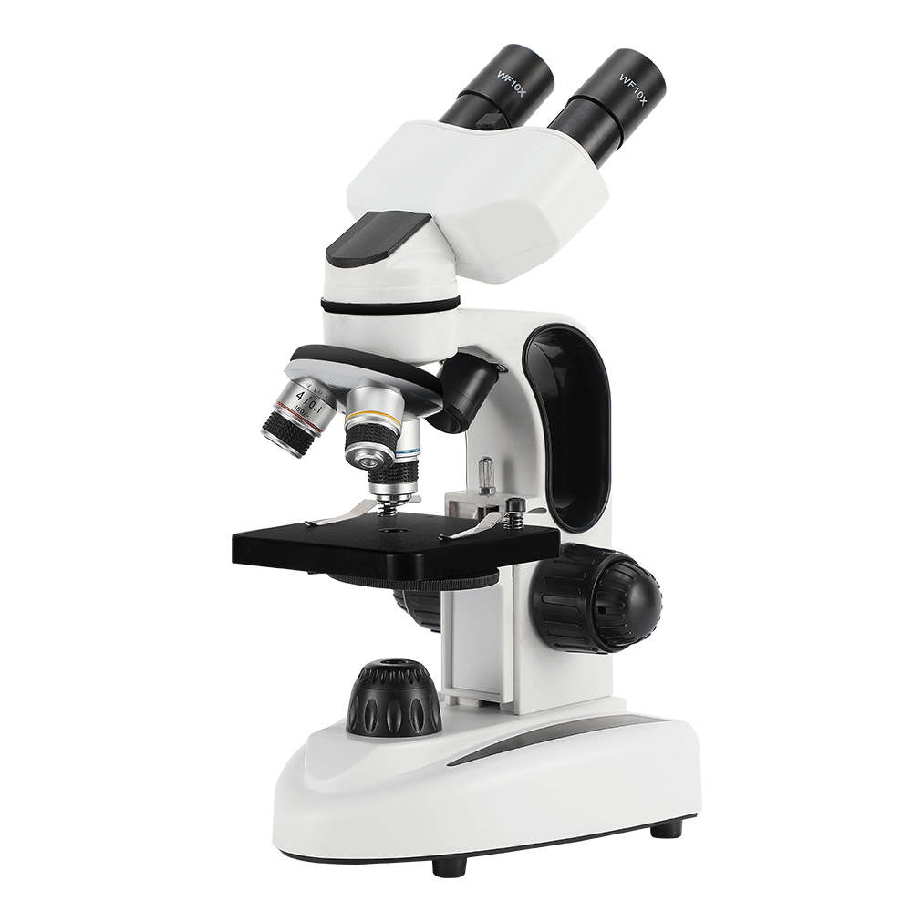 40X-1000X Compound Binocular M - đánh giá và giá Microscope Compound 40X